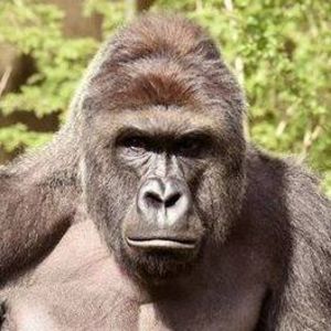 Meet your Posher, Ethan wj